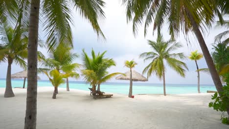 Tropischer-Strand-Mit-Palmen,-Weißem-Sand-Und-Liegestühlen