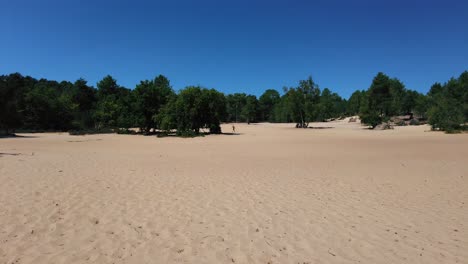 Fontainebleau-Forest,-Sand-and-Desert-On-A-Sunny-Day-In-France