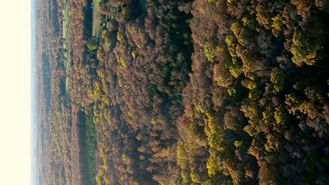 Aerial-flight-over-beautiful-midwest-autumn-with-golden-and-orange-trees-in-vertical-format