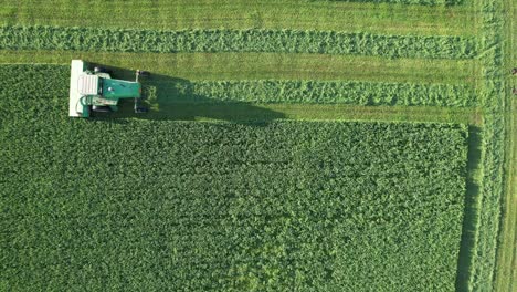 In-Door-County,-WI,-a-farmer-on-a-John-Deere-tractor,-cuts-his-alfalfa-field-in-late-August-8