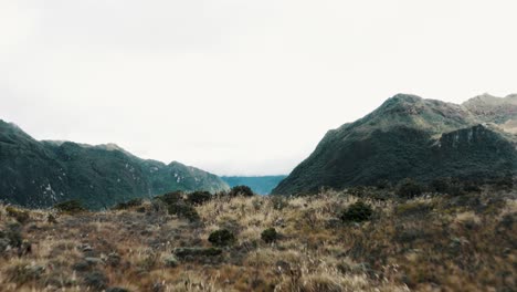 Fliegen-über-Den-Grasbewachsenen-Hügel-Des-Berges-Im-ökologischen-Reservat-Cayambe-Coca-In-Napo,-Ecuador