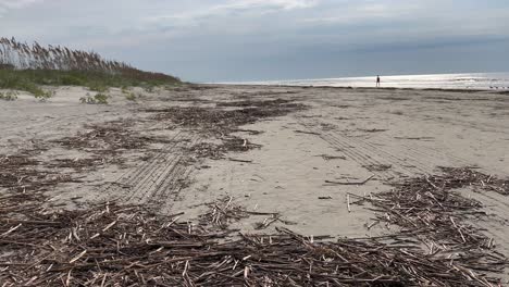 Sticks-washed-up-on-beach-at-Kiawah-Island-South