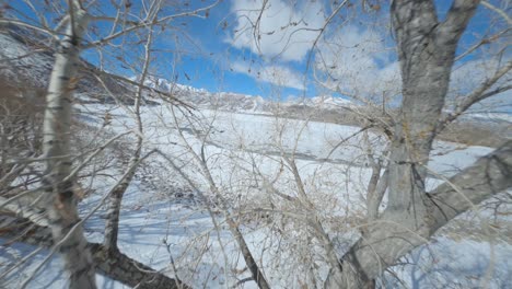FPV-racing-drone-flying-through-trees-and-nature-in-Utah-winter,-USA