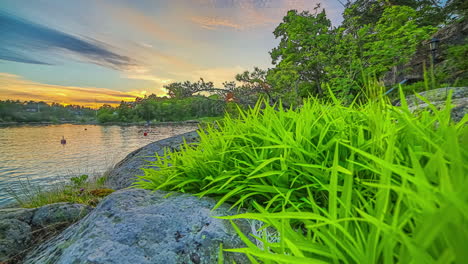 Timelapse-shot-of-cloud-movement-over-lake-surrounded-by-dense-vegetation-during-evening-time