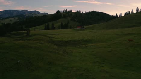 Grass-meadows-with-a-herd-of-cows-in-the-traditional,-romantic-and-idyllic-Bavarian-Wendelstein-alps-mountains-by-sunset-with-red-cloud-sky-and-mountain-peaks