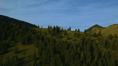 Bavarian-Austrian-Wendelstein-alps-mountain-peaks-with-romantic-and-idyllic-green-grass-meadows