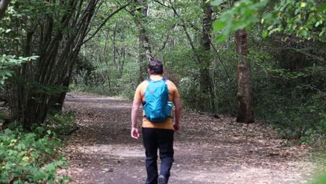 Reveal-shot-behind-the-leaves-of-a-man-with-a-backpack-walking-alone-on-a-road-in-the-forest
