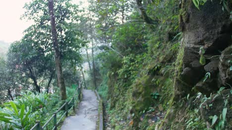 Overgrown-footpath-stairs-down-in-natural-park-in-vietnam-sapa-silver-waterfall