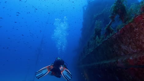 Person-is-diving-in-crystal-blue-water-and-passing-by-rotten-sunken-ship-vessel