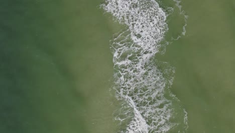 Aerial-of-ocean-waves-rolling-along-for-a-vertical-living-wall
