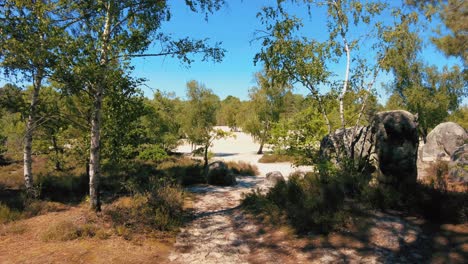 Cul-de-chien-in-fontainebleau-climbing-area-dry-sand-dunes-and-forest-in-summer