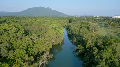 Río-Muñoz-Que-Fluye-Entre-Un-Exuberante-Bosque-Verde-En-Puerto-Plata,-República-Dominicana