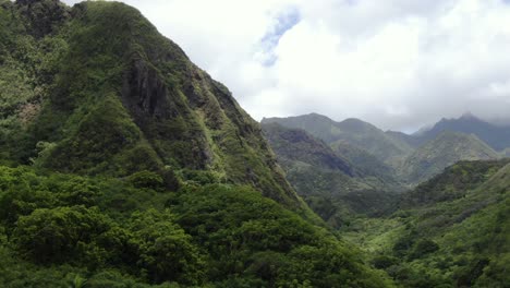 Filmische-Luftaufnahme,-Die-In-Den-Dschungelwald-Von-Maui-Fliegt