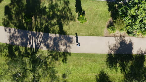 Aerial-Drone-Over-Jogging-Man-With-Tree-Shadows-On-Sunny-Day,-4K