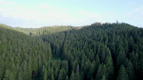 Bosque-Verde-En-Las-Montañas-De-Harz,-Alemania,-Vuelo-De-Drones