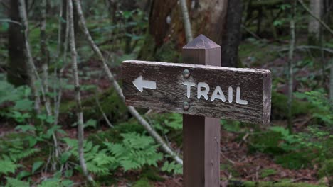Handheld-shot-of-trail-sign-pointing-hikers-in-the-right-direction