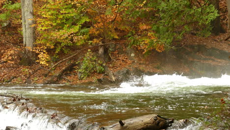 Powerful-Waves-Rushing-In-The-River-In-Autumn-Forest