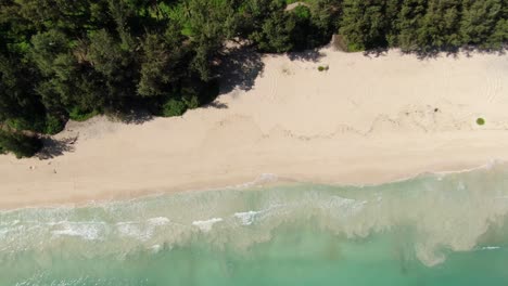 Slow-Aerial-Descent-Above-Sherwood-Beach-Revealing-The-Dense-Forest-Behind
