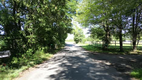 Camino-Rural-Con-árboles-Que-Rodean-Los-Lados,-Pedestal-De-Cámara-Lenta-De-4k