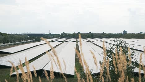 Granja-De-Paneles-Solares-En-Lommel,-Bélgica