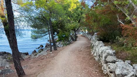 Scenic-hiking-trail-with-pine-trees-close-to-the-adriatic-sea,-between-Njivice-and-Malinska,-Krk,-Croatia
