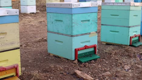 Statische-Aufnahme-Von-Aktiven-Bienenstöcken-Mit-Bienen,-Die-In-Den-Bienenstock-Ein--Und-Ausgehen