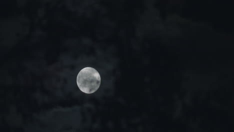 Luna-De-Halloween-Aterradora,-Nubes-Moviéndose-Detrás-De-Ramas,-Noche-Espeluznante