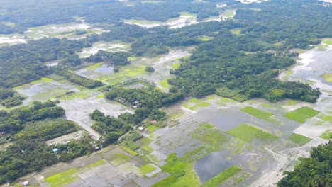 Aerial-view-of-sprawling-wetlands,-paddy-field,-Rural-cultivation