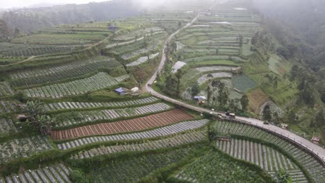 Aerial-view,-A-car-carrying-vegetables-passes-a-bend-in-the-road-on-the-slopes-of-Mount-Merbabu-in-the-morning