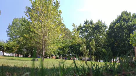 Children-playing-around-the-trees-of-the-landscaped-public-park,-leaves-moved-by-the-wind,-clear-and-sunny-summer-day,-panoramic-blocked-shot