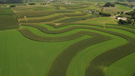 Konturierte-Landwirtschaftliche-Felder-Im-Südwesten-Von-Wisconsin-6