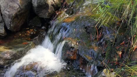 Static-Close-up-Of-A-Small-Clear-Stream-Running-Down-The-Troodos-Mountains-In-Cyprus
