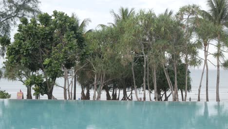 Nahtloses-Schwimmbad,-Das-An-Einem-Sonnigen-Tag-Mit-Kokospalme-In-Der-Nähe-Des-Tropischen-Meeresstrandes-Reflektiert-Wird,-Klares-Wasser-Im-Urlaub-Sommerferienort-Hintergrund