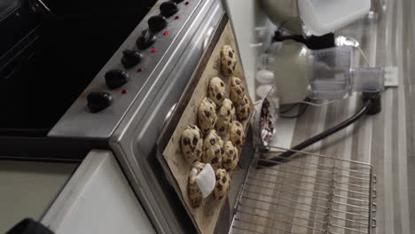Vertical-Shot-Of-Freshly-Baked-Chocolate-Chips-Cookies-Removed-From-The-Oven,-One-Topped-With-Marshmallow