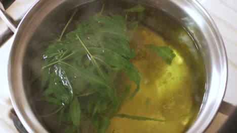 Cannabis-marihuana-hemp-leaves-while-boiling-in-pot-for-making-tea