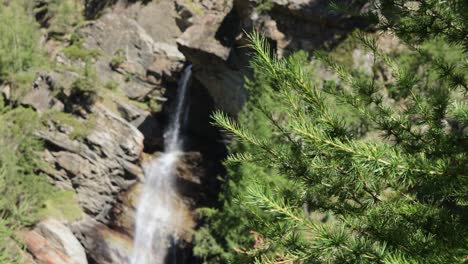 Close-up-View-of-the-Branches-of-a-Pine-Tree-and-the-Lillaz-Waterfall-in-the-Background-in-the-Aosta-Valley,-Italy