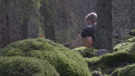 Young-Blonde-Girl-Picking-Mushrooms-in-Mossy-enchanted-Forest,-Tele-Shot