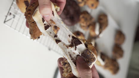 Hands-Breaking-A-Piece-Of-Baked-S'more-Cookie-With-Sticky-Melted-Marshmallow-On-Top