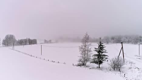 Cold,-snowy,-foggy-morning-in-the-winter-landscape-countryside---sliding-aerial-view
