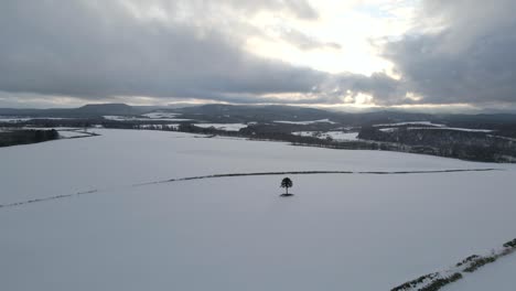 Drone-Volando-Sobre-El-Campo-Cubierto-De-Nieve-Y-La-Naturaleza-En-Japón-En-Invierno