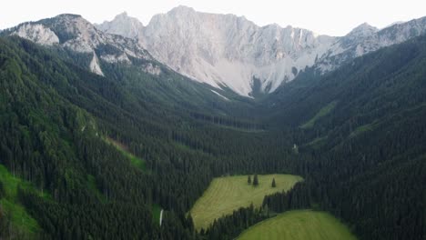 Weite-Wälder-Vor-Den-Hohen-österreichischen-Bergen