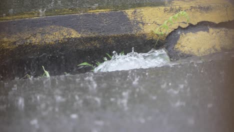 Heavy-Rain-Clogging-up-Sewer