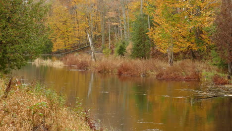 Romantischer-Blick-Auf-Einen-Fluss,-Der-An-Einem-Ruhigen-Tag-Durch-Eine-Herbstliche-Bewaldete-Landschaft-Mit-Orangetönen-Fließt