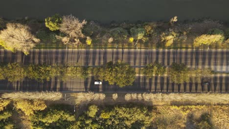 Drohnenaufnahme-Von-Vorbeifahrenden-Autos-Auf-Einem-Boulevard-Mit-Vegetation-In-Der-Nähe-Eines-Flusses-In-Buenos-Aires
