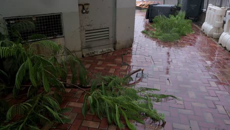 Damaged-tree-branches-are-seen-on-the-ground-under-heavy-rain-during-a-severe-tropical-typhoon-storm-signal-T8,-which-sustained-winds-of-63-miles-and-damaged-the-city-of-Hong-Kong