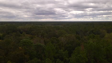 Flying-over-a-forest-on-a-cloudy-day-1
