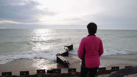 Mujer-Mirando-El-Lago-Michigan-En-La-Playa-Con-Video-Cardán-Caminando-Desde-Atrás