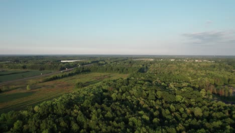 Drone-footage-shows-a-large,-green-area-surrounded-by-trees,-bushes,-and-a-clear-sky
