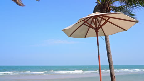A-single-shade-umbrella-sits-under-a-plan-tree-with-a-perfect-view-of-the-ocean
