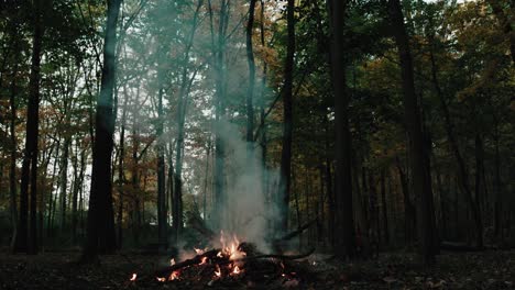 Wide-shot-of-a-Halloween-bonfire-in-the-middle-of-the-woods,-background-of-a-camping-in-a-mysterious-and-frightening-forest